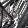 TERN BYB P8 Shimano Claris 8-Gang 2025
