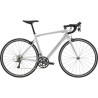 CANNONDALE CAAD Optimo 4 Silver 2023