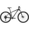 CANNONDALE Trail 5 Graphite 2024