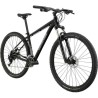 CANNONDALE Trail 5 Graphite 2022