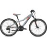 MORRISON Mescalero X24 MTB grey-orange 2023