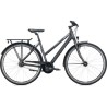 FALTER City U 4.0 Shimano Nexus 7-Gang FL Trapez Cool Grey2024