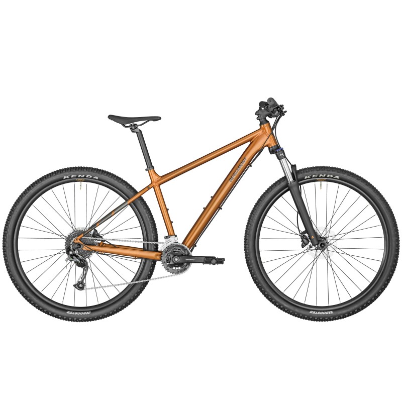 BERGAMONT Revox 4 2024